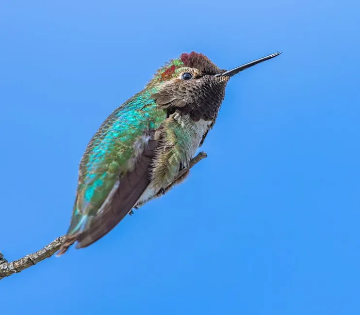 They Raid Woodpecker Wells for a Free Meal (Image Credits: Pexels)