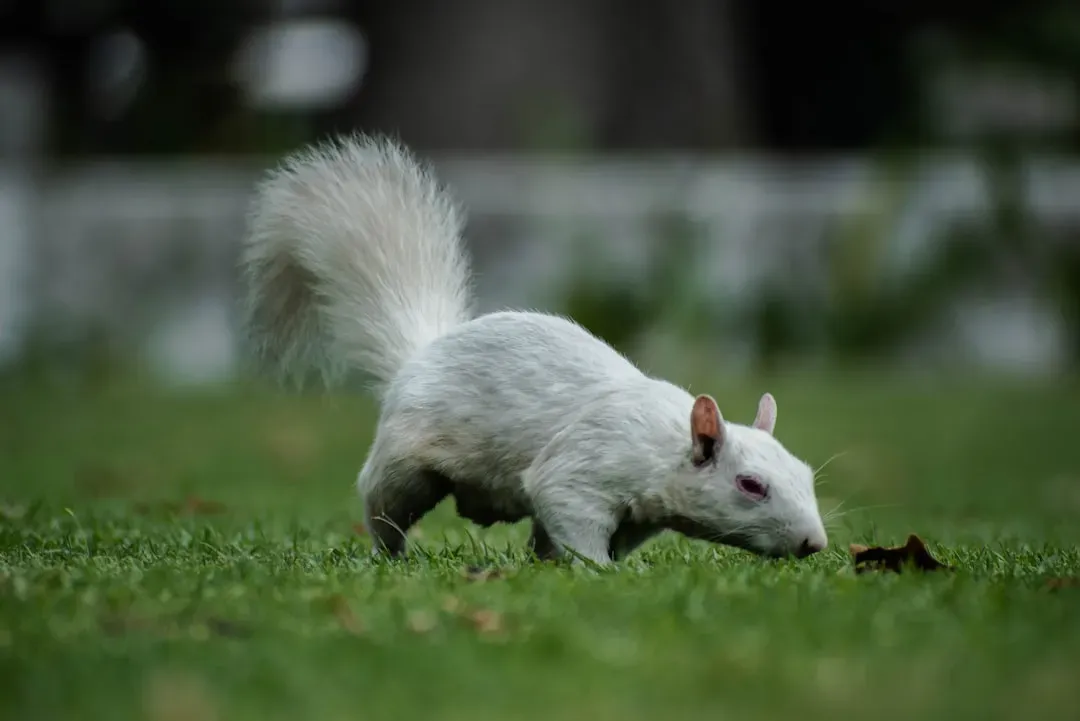 Habituation in Shared Spaces (Image Credits: Unsplash)