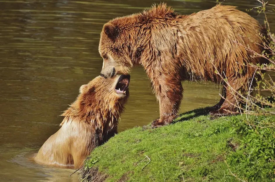 Katmai National Park, Alaska: The Kingdom of Brown Bears (Image Credits: Pexels)