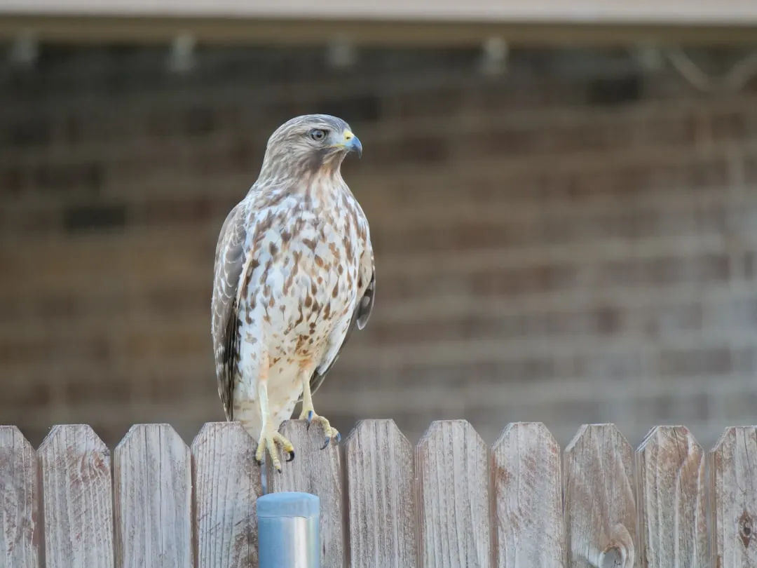 #3 - Something Dangerous Just Walked Into Your Yard (Image Credits: Unsplash)