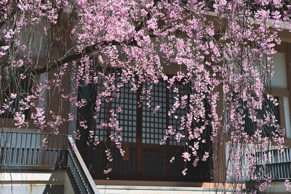 #12 Pisces (February 19 – March 20): The Weeping Cherry (Image Credits: Pexels)