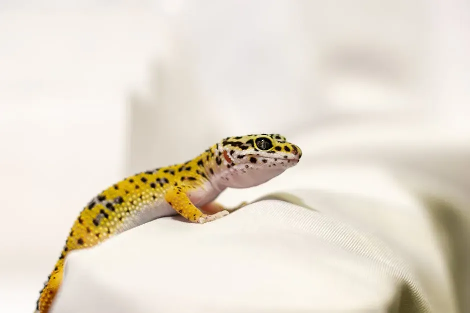 #2. Taurus (April 20 – May 20): The Leopard Gecko (Image Credits: Pexels)