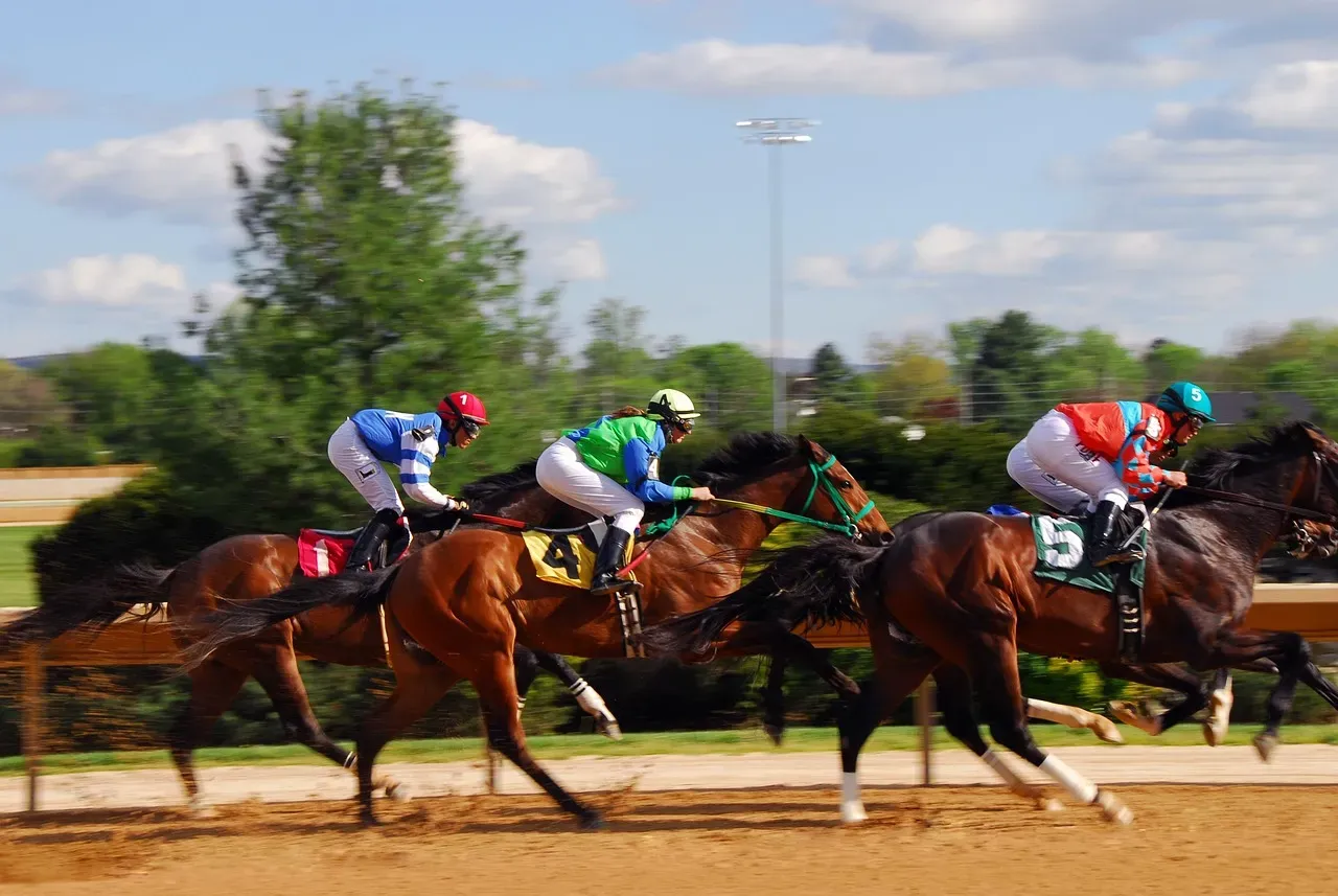 Thoroughbred (Image Credits: Pixabay)