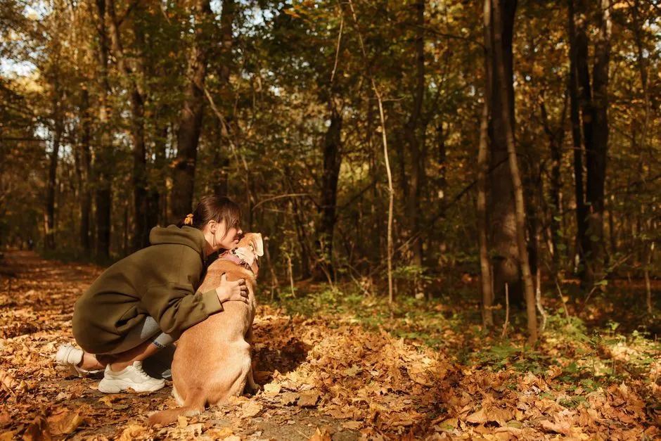 10. Keeping You Emotionally Grounded When Everything Else Shrinks (Image Credits: Pexels)
