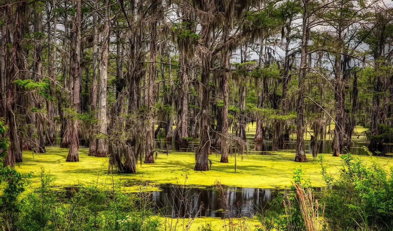 4. Mississippi (Image Credits: Pixabay)