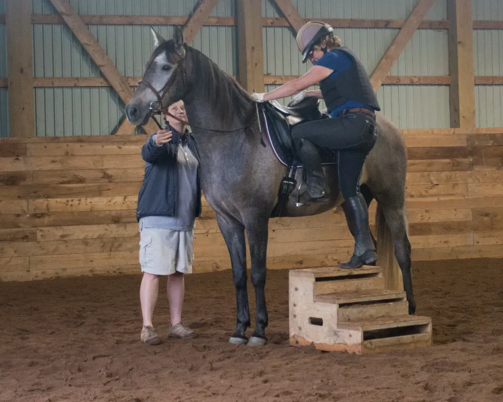 Mounting Your Horse Without Causing Problems (Image Credits: Flickr)