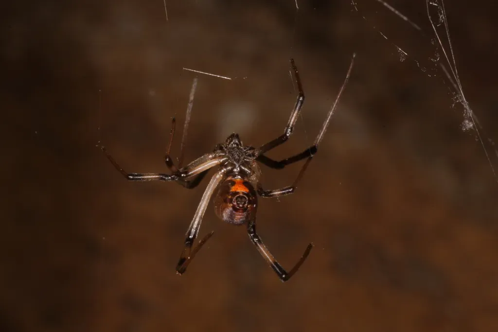 The Hidden Danger Right Outside Your Door (Image Credits: Flickr)
