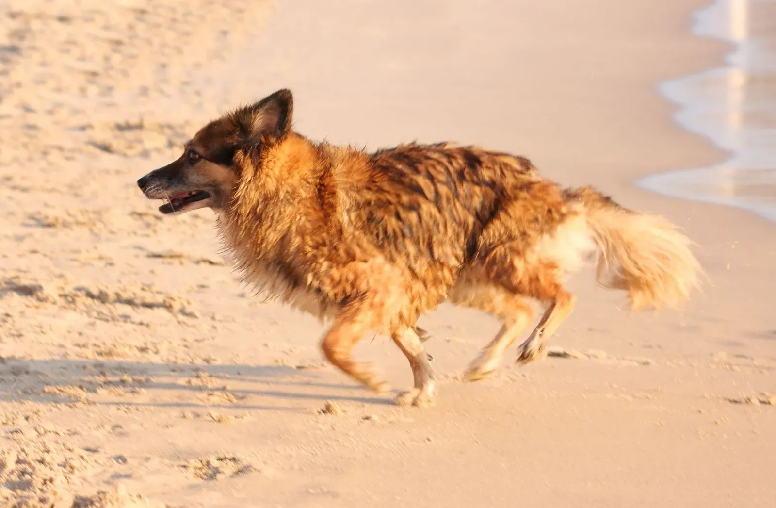 They Experience a Sudden, Unexpected Burst of Energy (By photos8.com, CC BY 2.0)