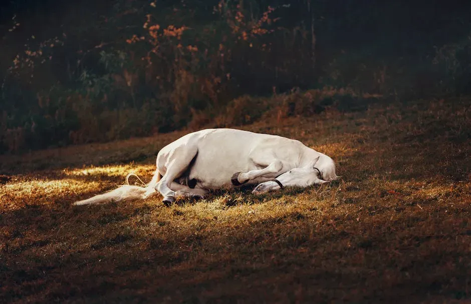 They Do Lie Down Sometimes (Image Credits: Pexels)