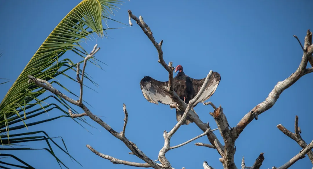 Thermoregulation: Basking in the Sun (Image Credits: Unsplash)