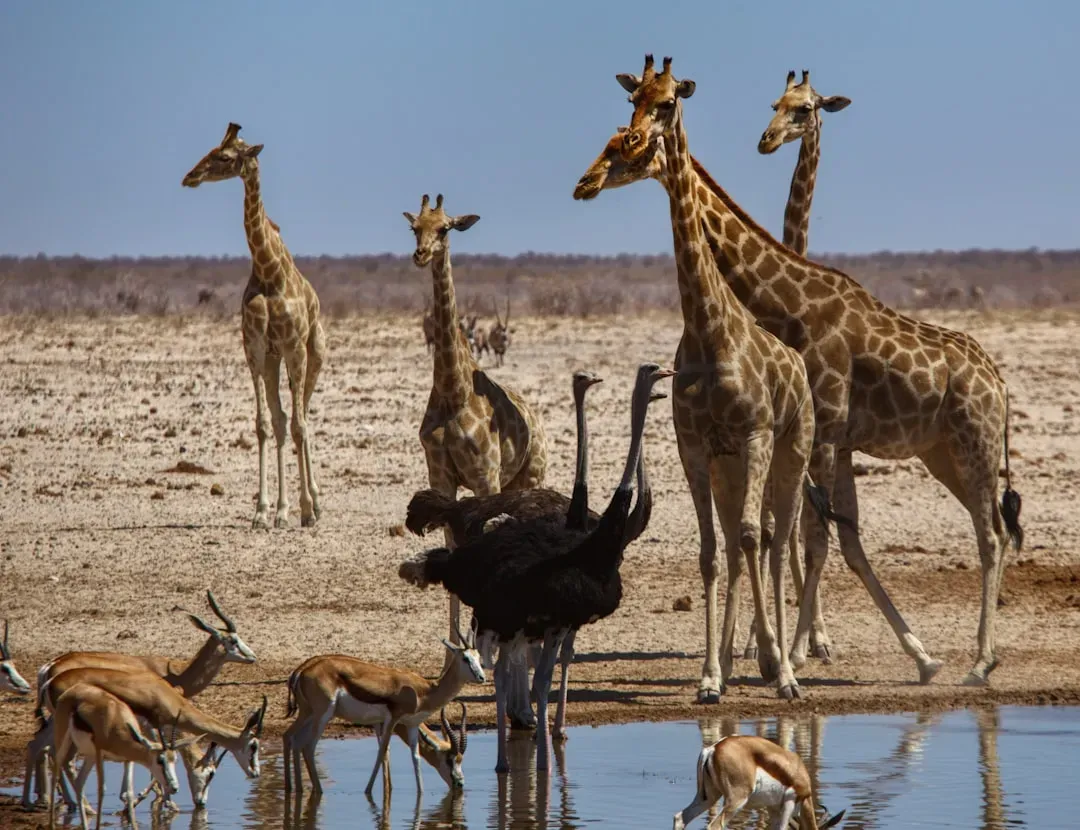 Columbus Zoo and Aquarium: Funding Conservation on Every Continent (Image Credits: Unsplash)