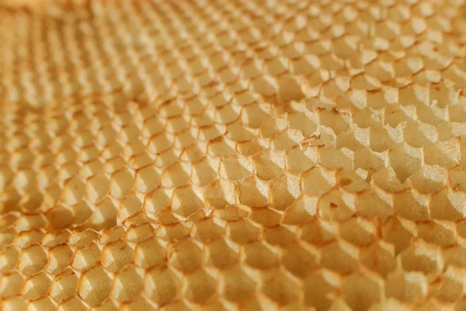 6. Honeybees: Geometric Precision in Every Cell (Image Credits: Pexels)