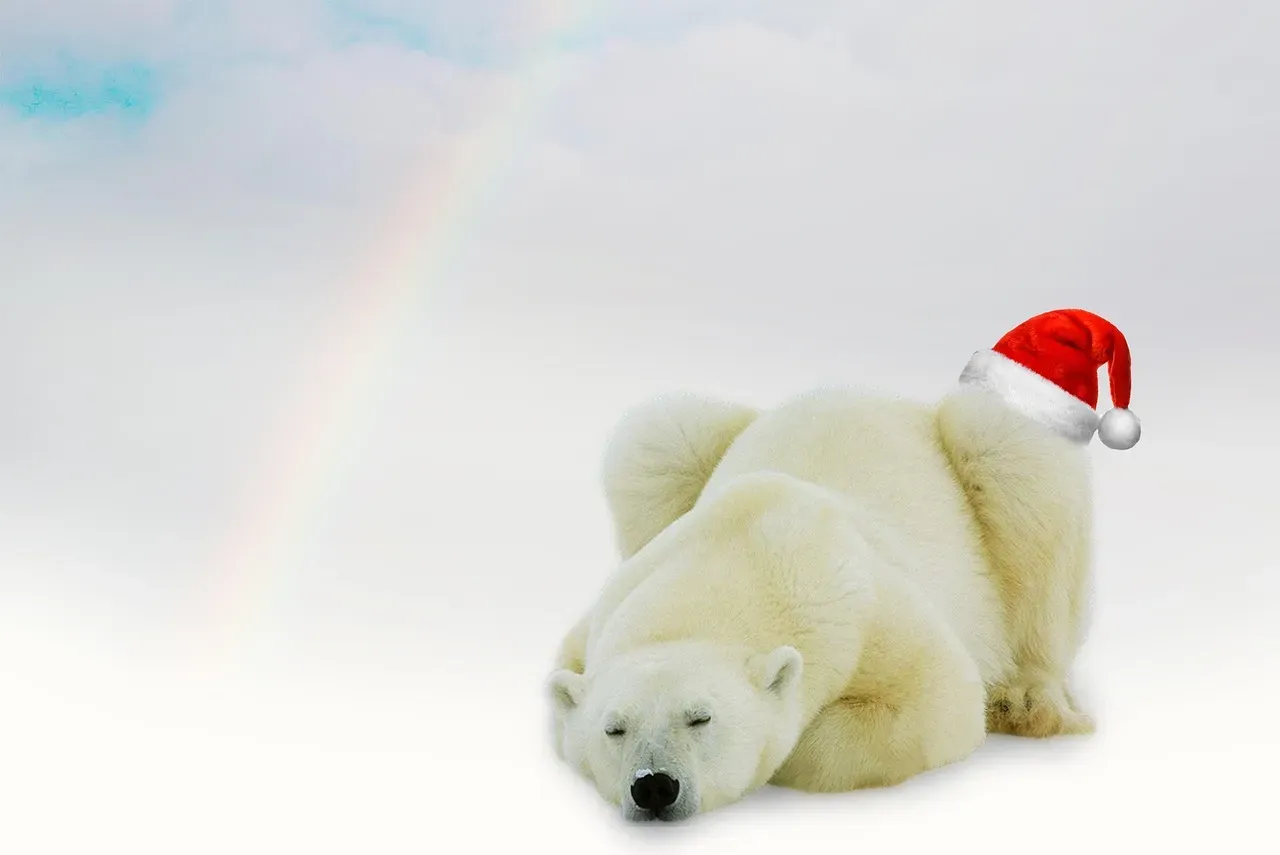 The Virgin: Virgo and the Bear's Wisdom (Image Credits: Pixabay)