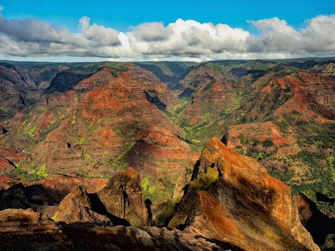 Waimea Canyon, Hawaii (Image Credits: Unsplash)
