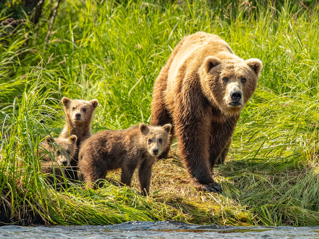 Learning from Mother's Wisdom (Image Credits: Unsplash)