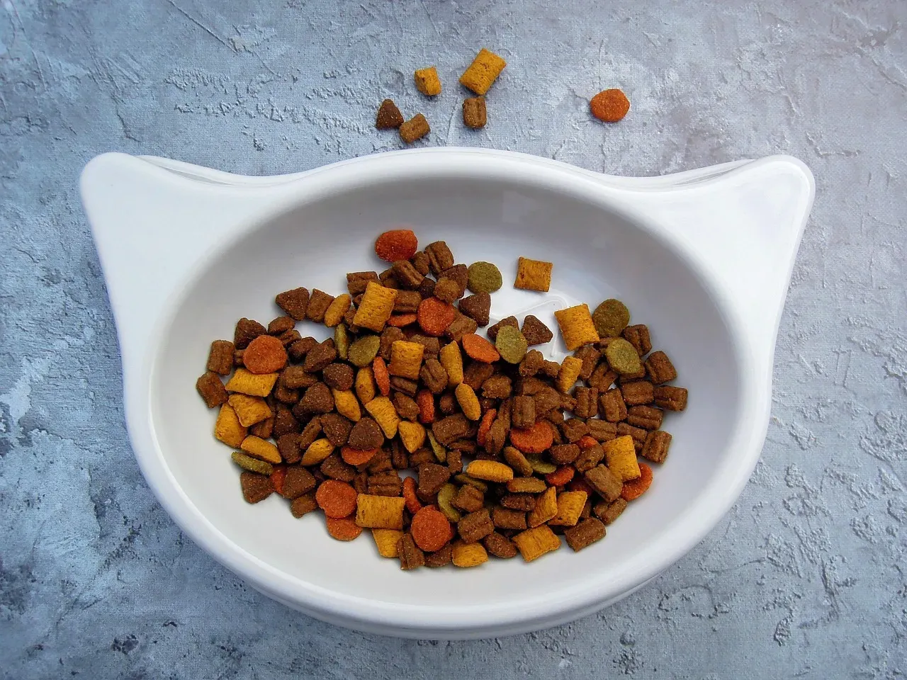 Pet Food Bowls (Image Credits: Pixabay)