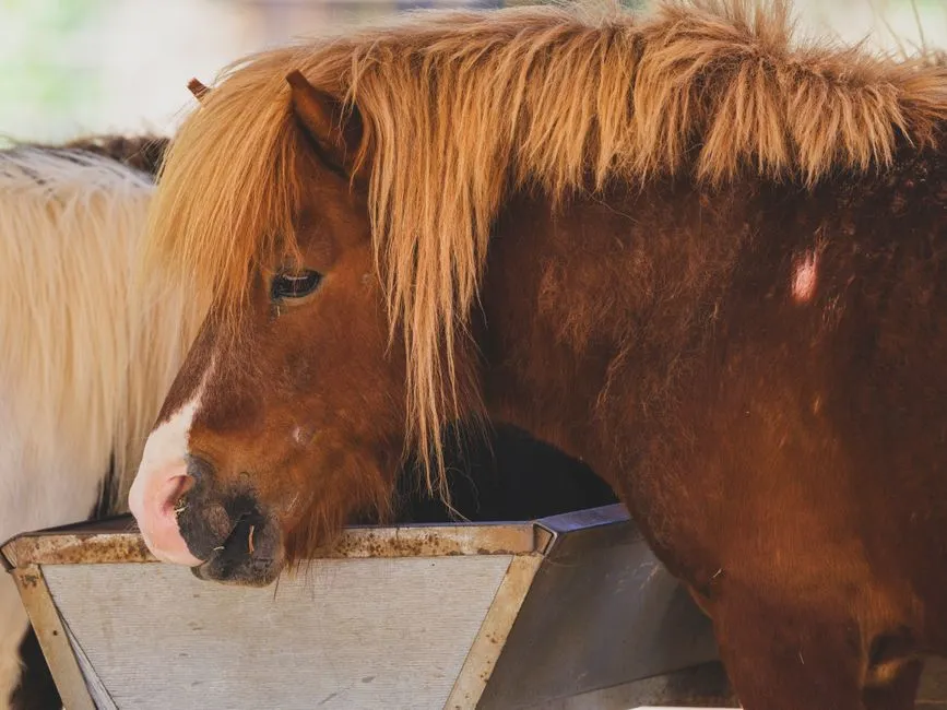 #3 - They Start Leaving a Little Feed Behind (Image Credits: Pexels)