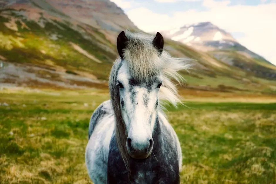 Your Spirit Animal Can Shift With Life's Phases (Image Credits: Pexels)