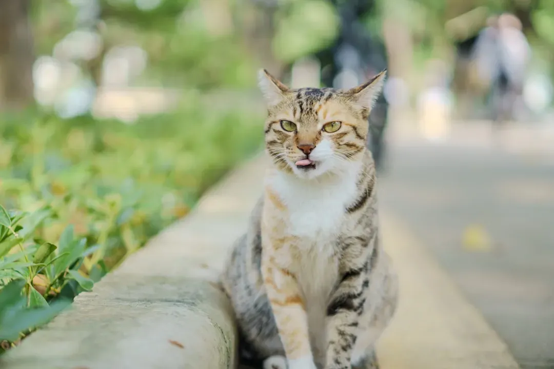 Aquarius: The Quirky Innovator (Image Credits: Unsplash)