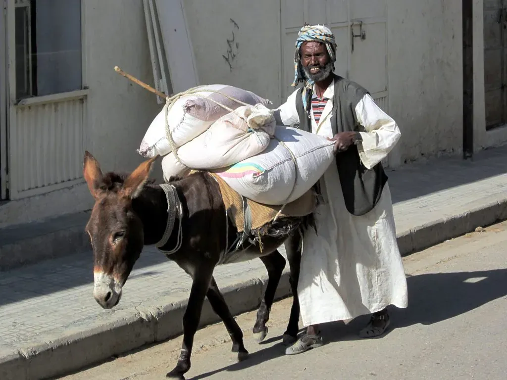 The Lives That Depend on Them More Than Statistics Show (D-Stanley, Flickr, CC BY 2.0)