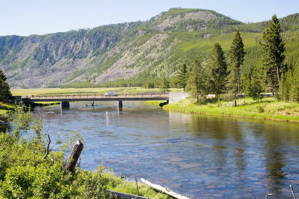 Madison River, Montana (Image Credits: Flickr)