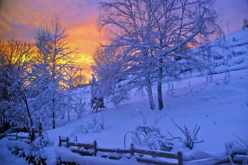 When Nature Coated Indiana in Three Inches of Ice (Image Credits: Rawpixel)