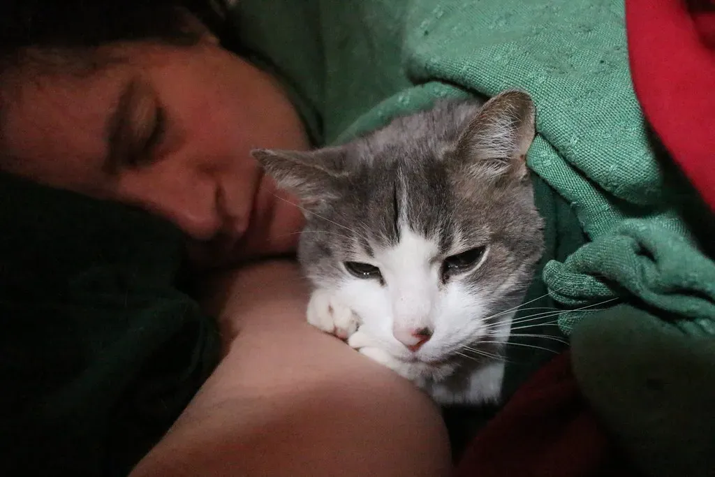 Moments You Comforted Them During Stress (Image Credits: Flickr)
