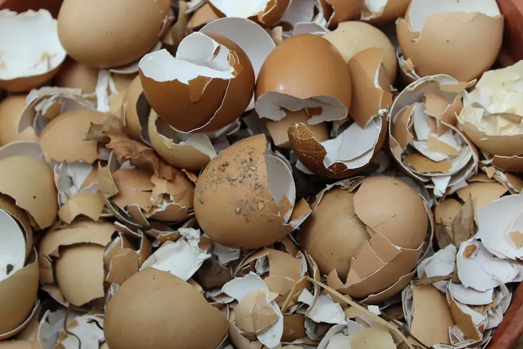 Crushed Eggshells: A Crunchy Barrier (Image Credits: Unsplash)