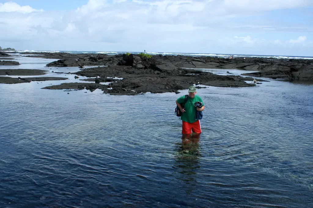 Virgo: The Detail Oriented Marine Biologist (Image Credits: Flickr)