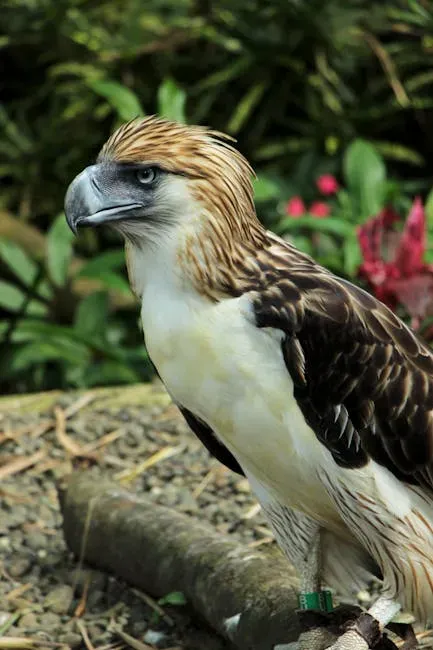 It Mates for Life - and Raises Only One Chick Every Two Years (Image Credits: Pexels)