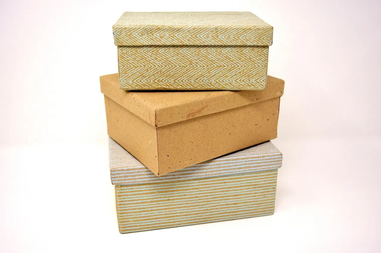 Cardboard Traps: The Surprisingly Smart Solution (Image Credits: Pixabay)