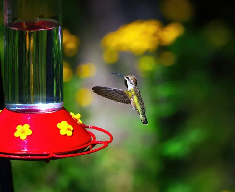 Year-Round Nectar Sources (Image Credits: Pexels)