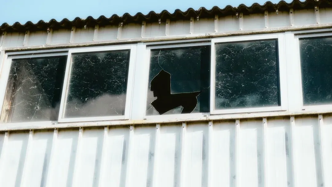 Window Collisions: Invisible Walls of Death (Image Credits: Unsplash)