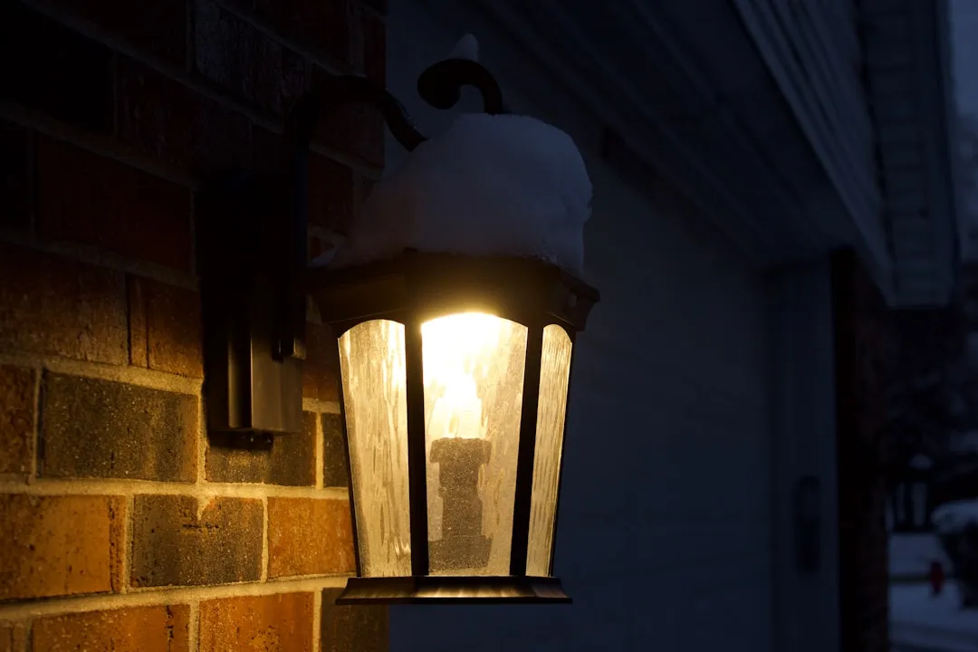 #8 - Dial Back Night Lighting Around Key Habitat (Image Credits: Unsplash)