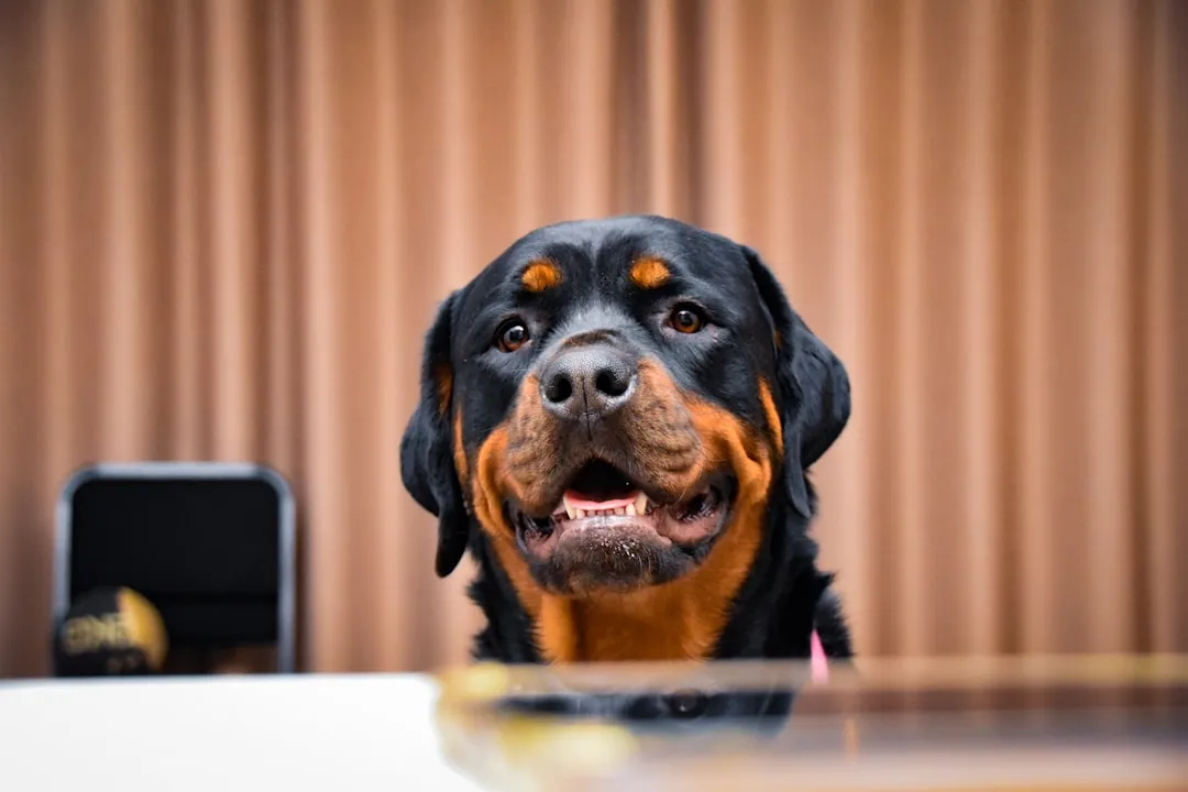 #7 - They Match Your Face to Your Voice in Real Time (Image Credits: Unsplash)