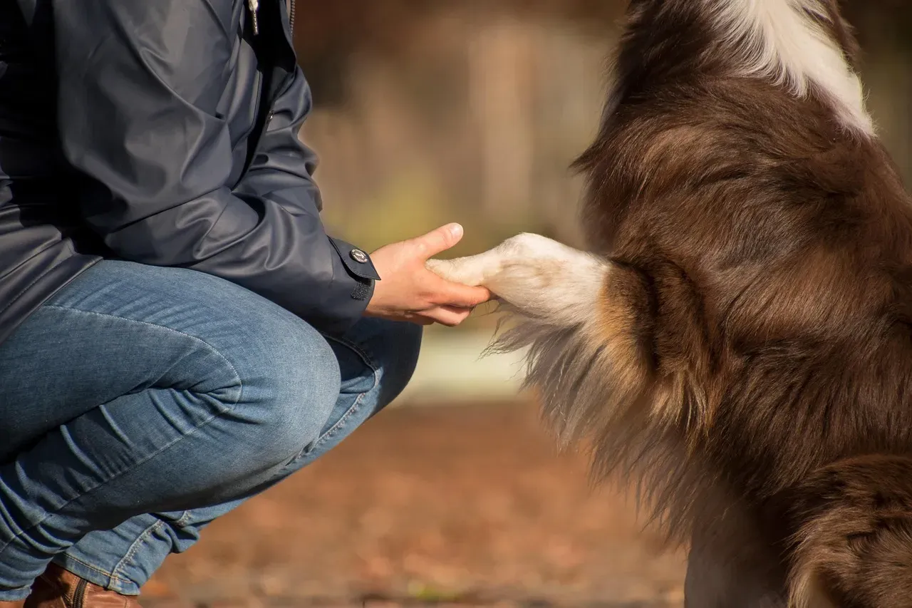 The Reciprocal Relationship We Often Take for Granted (Image Credits: Pixabay)