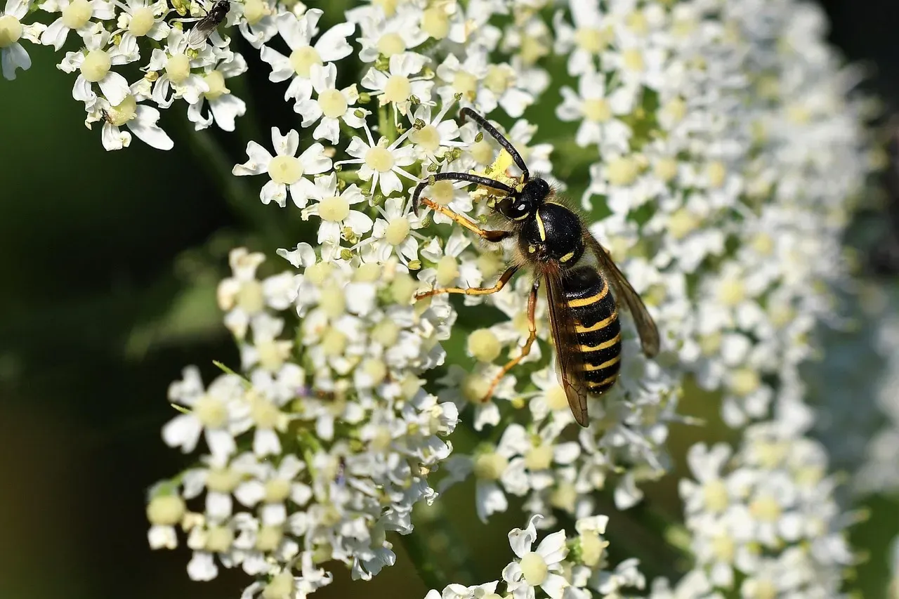 The Bigger Picture: Working With Your Garden, Not Against It (Image Credits: Pixabay)
