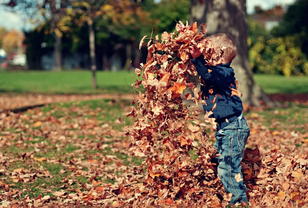 1. Leave the Leaves Alone This Fall (Image Credits: Unsplash)