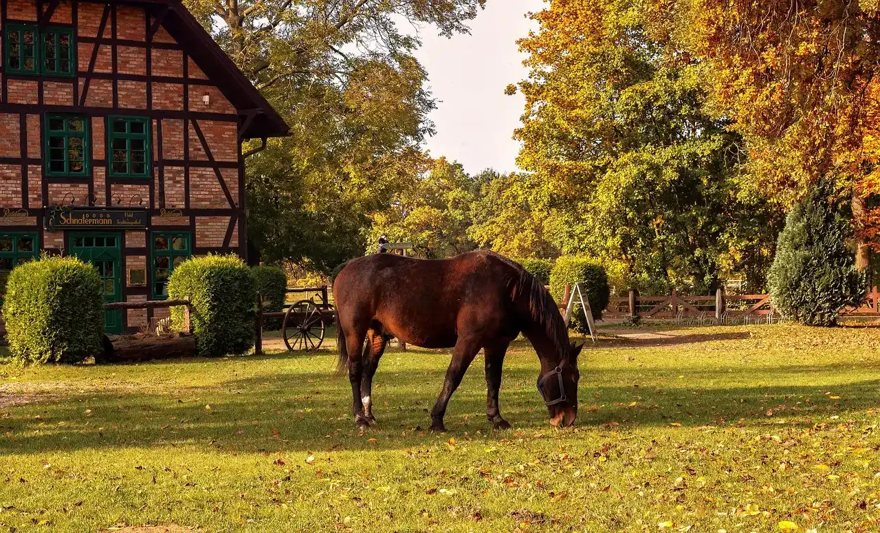 Manage Wildlife to Reduce Tick Carriers (Image Credits: Pixabay)