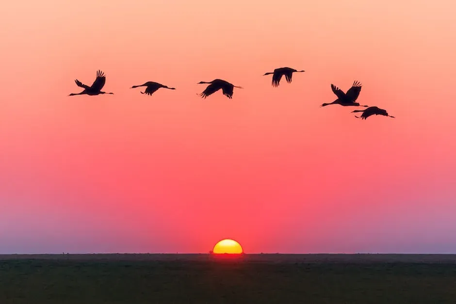 Migratory Songbirds and the Star Compass (Image Credits: Pexels)