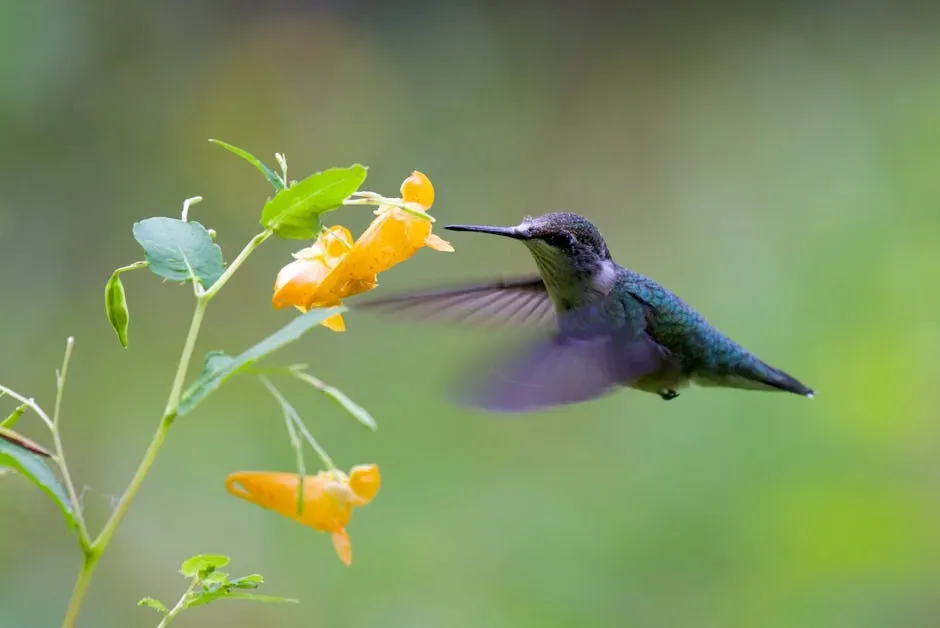 Their Metabolism Is Jaw-Droppingly Extreme (Image Credits: Pexels)