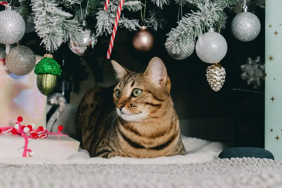 They Bring You "Gifts" (Image Credits: Pexels)
