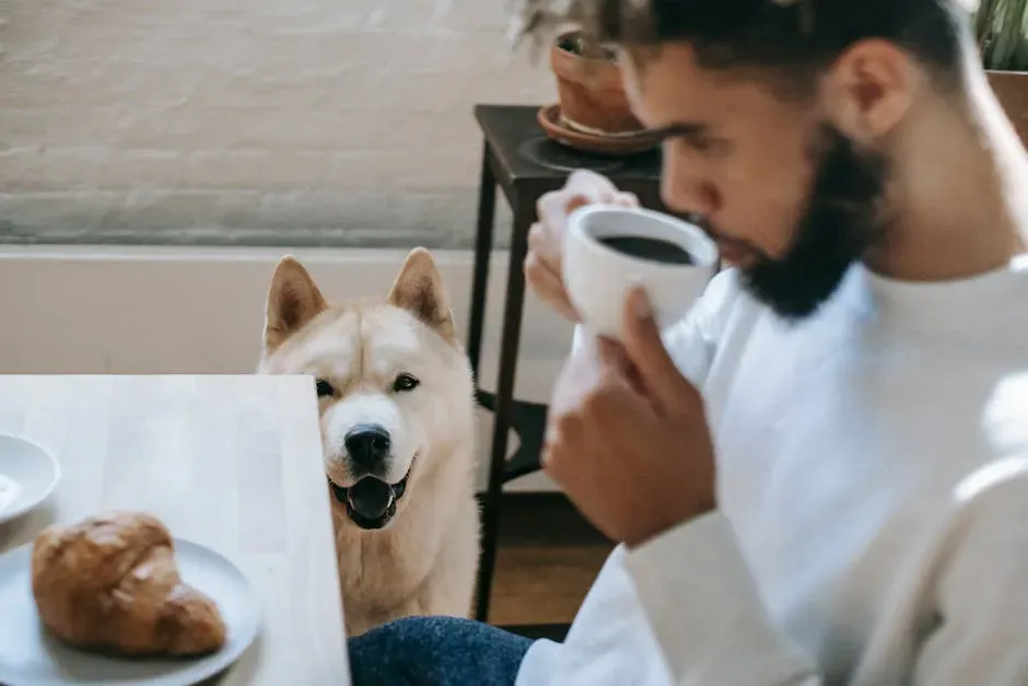8. Caffeine: It's Not Just the Coffee Cup You Need to Watch (Image Credits: Pexels)