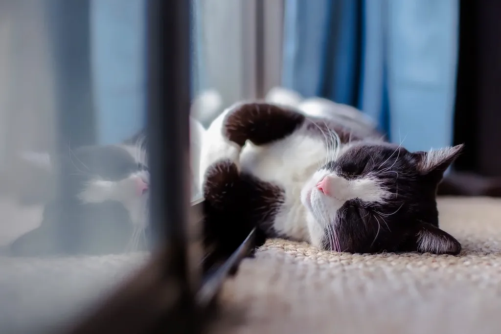 16. Quiet Moments Together Mean More Than Big Performances (Image Credits: Rawpixel)