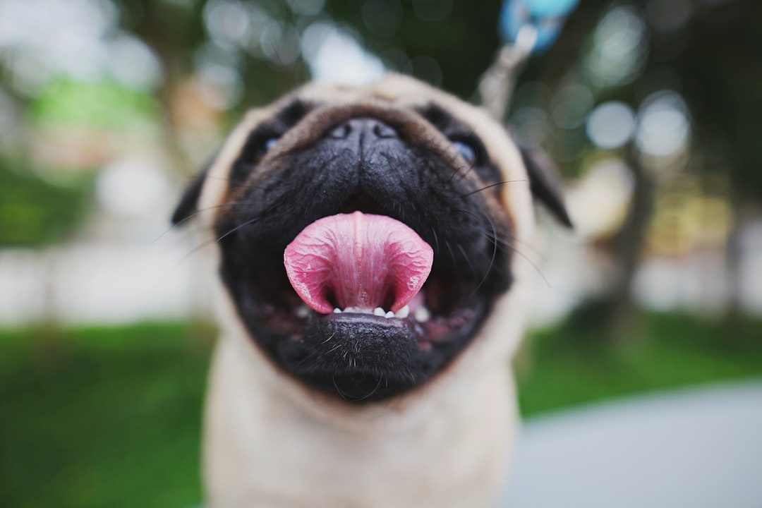 Lip Licking Means Anxiety, Not Hunger (Image Credits: Unsplash)