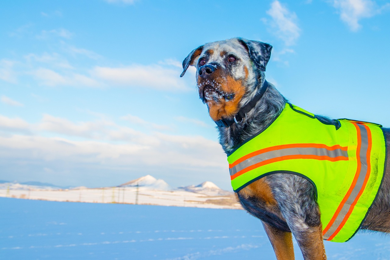 Indoor Heating Hazards and Winter Behavioral Changes (Image Credits: Pixabay)