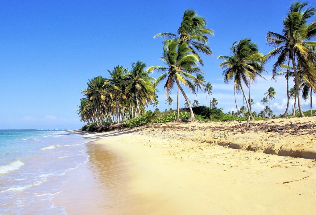 Bavaro Beach, Dominican Republic (Image Credits: Rawpixel)