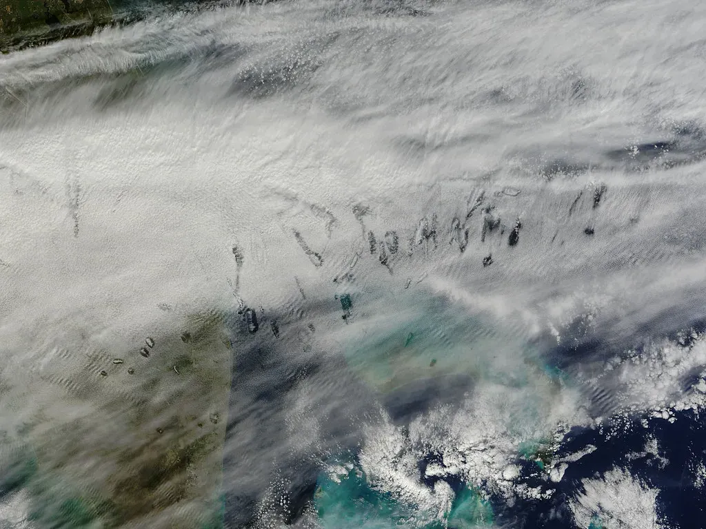 6. Marine Snow: The Deep Ocean's Only Food Source (NASA Goddard Photo and Video, Flickr, CC BY 2.0)
