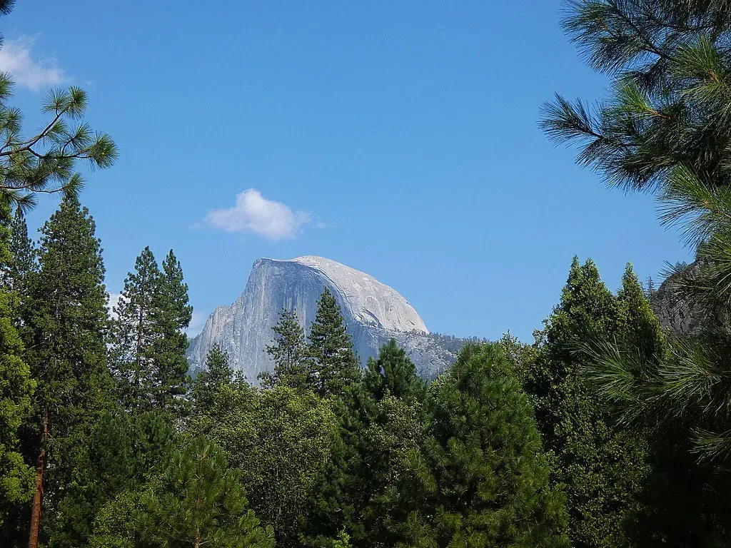 Half Dome's Granite Majesty (Image Credits: Flickr)