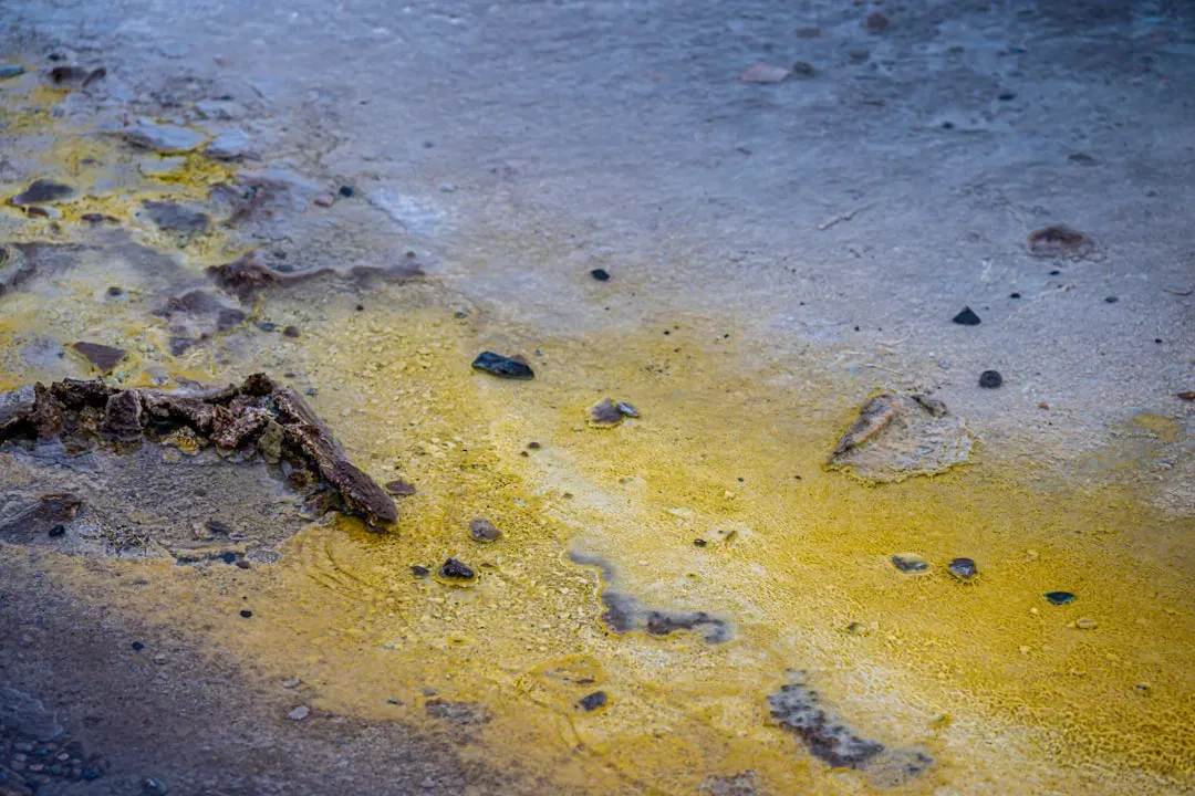 1. Motor Oil and Automotive Fluids (Image Credits: Unsplash)